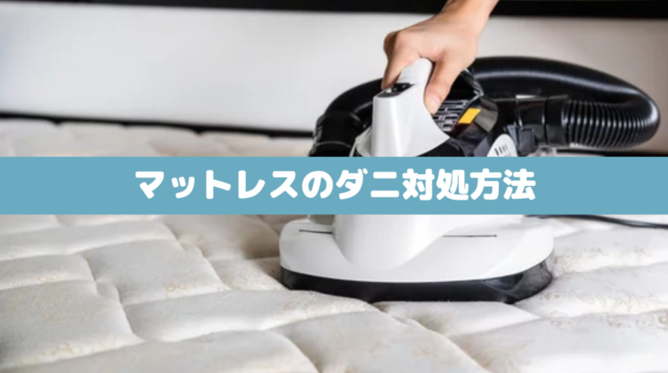 【プロ監修】マットレスのダニ駆除方法を完全解説|ダニだらけ? - マットレスの教科書